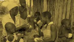 జింబాబ్వే