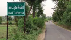 காட்டுச்சிவிரி