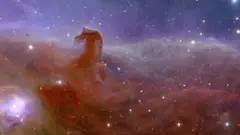 Oblak gasa u svemiru iz kojeg nastaju zvezde