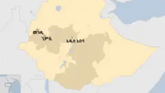 ካርታ
