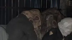 د طالبانو د کورنیو چارو وزارت وايي، کابل کې یې یوشمېر په نشه روږدي کسان راټول او د درملنې لپاره اړوندو روغتونونو ته استولي دي.
