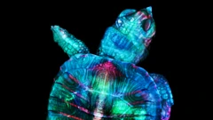 Embrión de tortuga fluorescente