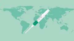Vaccine graphic