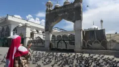 کشمیر