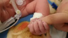 افغان