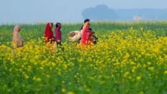 ਸਰ੍ਹੋਂ