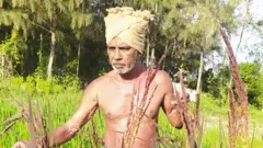 பயிர் காப்பீடு