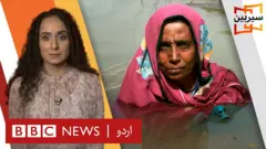 سیربین