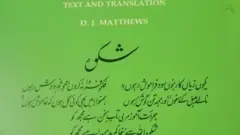 ڈیوڈ میتھیوز کی کتاب