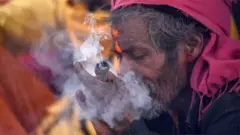 بھنگ