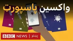 ځینې خلک پر دې اند دي چې دا له کوویډ وبا د وتلو یوه لار ده، خو داسې وېرې شته چې ګنې په دې سره د تعبیض نوي ډولونه وړاندې کېږي.
