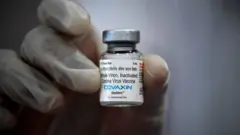 कोव्हॅक्सिन