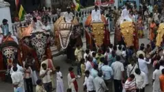 मंदिर के हाथी