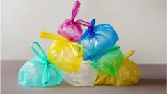 plastic bag