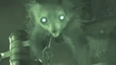 लीमर