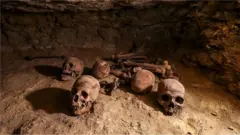 Scientists were somewhat surprised to find human brains had shrunk as recently as 3,000 years ago