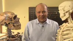 માનવ અવશેષો