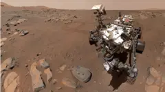 Rover