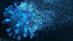Virus