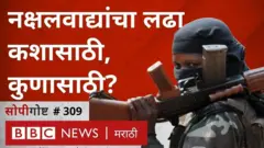छत्तीसगड, गडचिरोली, नक्षलवाद