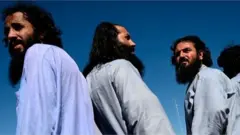 طالبان