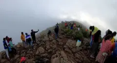 అరకు