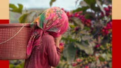 Daa'ima uffata diimaa keewwattee jirtu