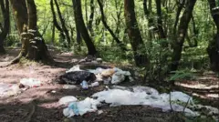 زباله در طبیعت