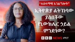 ከሕዳሴ ግድብ ይስተካከላል የተባለው የኢትዮጵያ ኒውክሌር ኃይል ማመንጫ ምንድን ነው? 