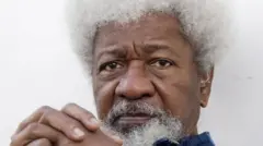 Aworan Ojogbon Soyinka