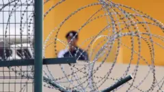 सिंगापूर 