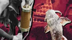 ထိုင်းနိုင်ငံက ကော့ခ် (Kok) မြစ်ထဲမှာ သဘာဝပတ်ဝန်းကျင်နဲ့ လူ့ကျန်းမာရေးကိုထိခိုက်စေတဲ့ အာစင်းနစ် (Arsenic) သတ္တုဓာတ်တစ်မျိုးပါဝင်နှုန်းမြင့်နေတာကို တွေ့ရှိရာကနေ ဒီသတ္တုတူးဖော်မှုတွေကို နှစ်နိုင်ငံပညာရှင်တွေက ထောက်ပြလာကြတာပါ။