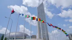 የአፍሪካ ኅብረት 