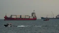 tahıl koridoru kapsamında gemiler 