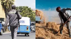 ታጣቂ እና አርሶ አደር