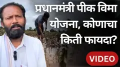 ग्राफिक्स