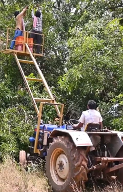 மாந்தோப்பில் பணிச்சுமையை குறைக்கும் டிராக்டர் லிஃப்ட்