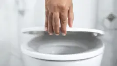 టాయిలెట్ సీట్, వైరస్‌, బ్యాక్టీరియా, వ్యాధులు, అనారోగ్యం, పరిశుభ్రత