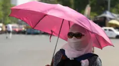 ગુજરાત હિટવેવની અસર ક્યાં જોવા મળશે?