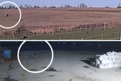 Novas imagens de Vitória divulgadas pela polícia