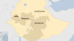 'Oromiyaatti sarbama mirga namaa raawwatuuf mootummaan iddoo hin laanne'