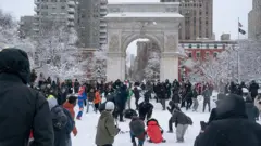 Dezenas de pessoas brincam e atiram bolas de neve no Washington Square Park, em Nova York
