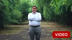 தரிசு நிலம்