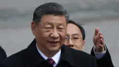 शी जिनपिंग