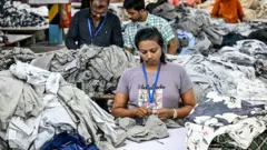 ट्रम्प यांच्या टॅरिफमुळं भारताच्या विकास आणि निर्यातीला किती मोठा फटका बसणार?