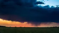 ગુજરાતમાં ચોમાસું 