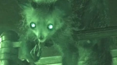 aye-aye