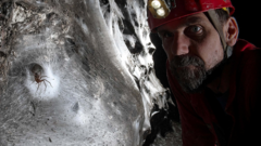 गुफाभित्र फेला पर्यो विशाल जालो, १ लाखभन्दा बढी माकुराको बास