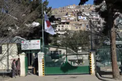 سور صلیب