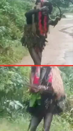 A collage of two masquerades